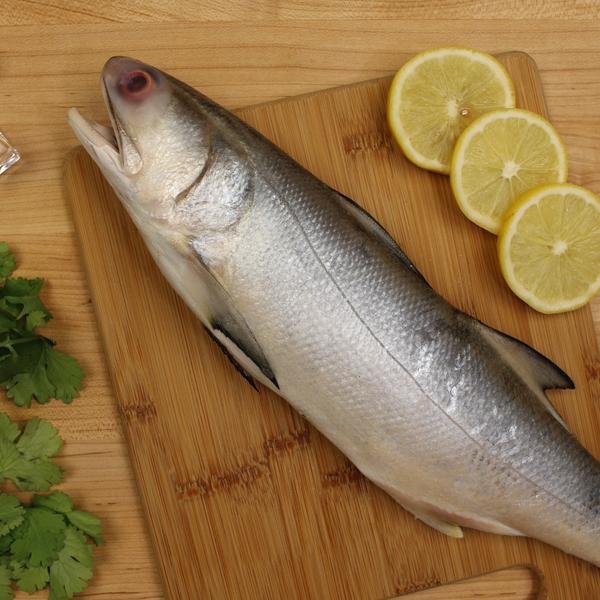 Fourfinger Threadfin Fish